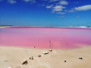 468323598 489877410741222 4509221740497863542 n