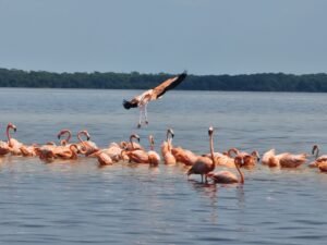 imagen de whatsapp 2025 09 15 a las 23.41.58 544b7183