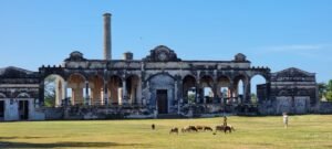 imagen de whatsapp 2025 09 19 a las 18.55.26 96b96e5c