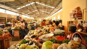 diseño sin título 2