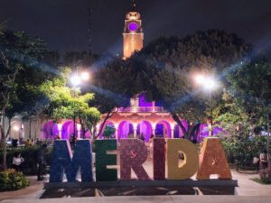 img 20251107 193114 edit 268426227959269