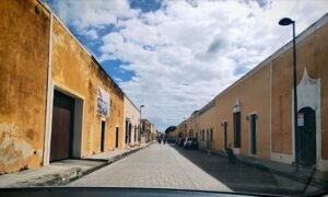 img 20251111 094025 edit 40207723374399