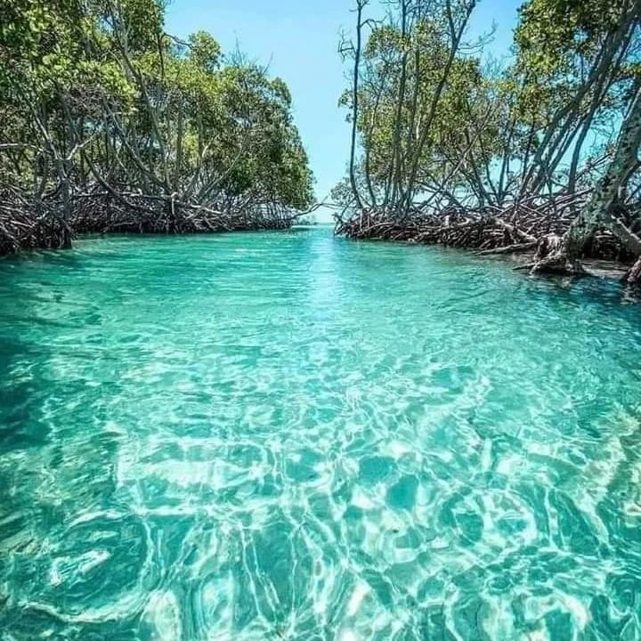 468323632 490424844019812 7399748336082043170 n 468323632 490424844019812 7399748336082043170 n