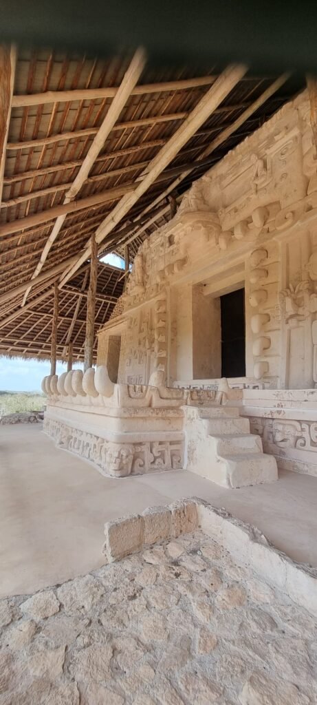 imagen de whatsapp 2025 09 19 a las 19.37.25 ab10557b